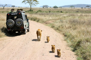 Safari en Tanzanie