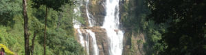 Chutes d'eau de Ramboda, Sri Lanka