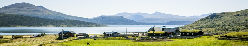 Vue sur les fermes traditionnelles norvégiennes depuis la vallée Gudbrandsal