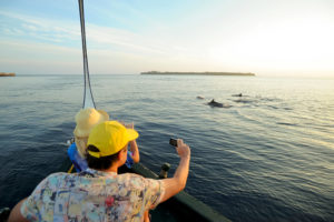 Couple photographiant des dauphins en balade en bateau aux Maldives