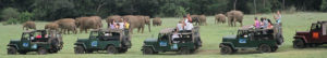 Safari dans le parc national de Minneriya, Sri Lanka