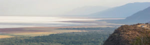 Lac Manyara, Tanzanie