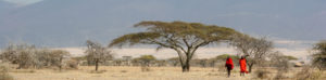 Bergers Masaï, Gorge Ngorongoro, Olduvai
