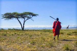 Marche avec un masaï, dans le Ngorongoro, Tanzanie