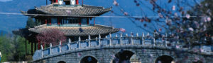 Musée de la culture Naxi et Dongba à Lijiang