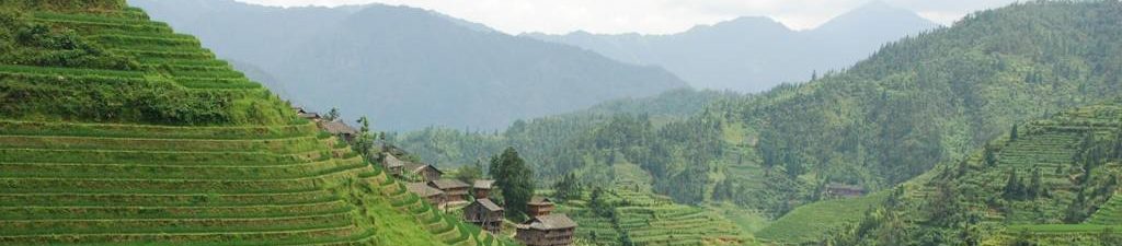 Vue sur rizière en terrasses dans le district Sanjiang