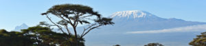 Mont du Kilimandjaro, Amboseli, Kenya