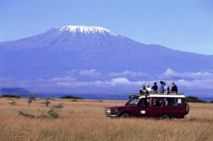 Safari à Amboseli au Kenya