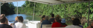 Croisière sur la Daintree river, Queensland, Australie