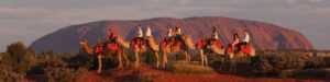 Balade en chameaux en famille à Uluru