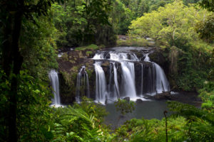 Parc National Wooroonooran