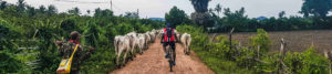 Tour en vélo dans la campagne de Battambang, Cambodge