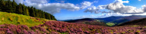 Montagnes de Wicklow, Irlande