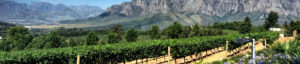 Route des vins au Cap, Afrique du Sud