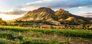 Route des vins, Afrique du Sud