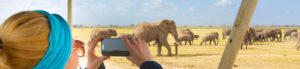 Safari avec éléphants, Afrique du Sud