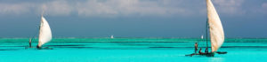 Vinculos, bateau, Afrique du Sud