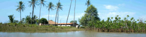 Mangrove à la rivière Parnaiba, Brésil