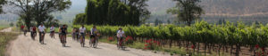 Vignoble Santa Rita, Chili, domaine de vin